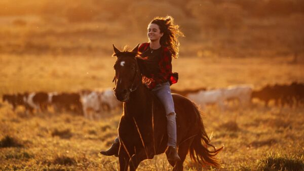 Jeździectwo westernowe – co to za dyscyplina, jak się ją uprawia i na jakie kategorie dzieli?