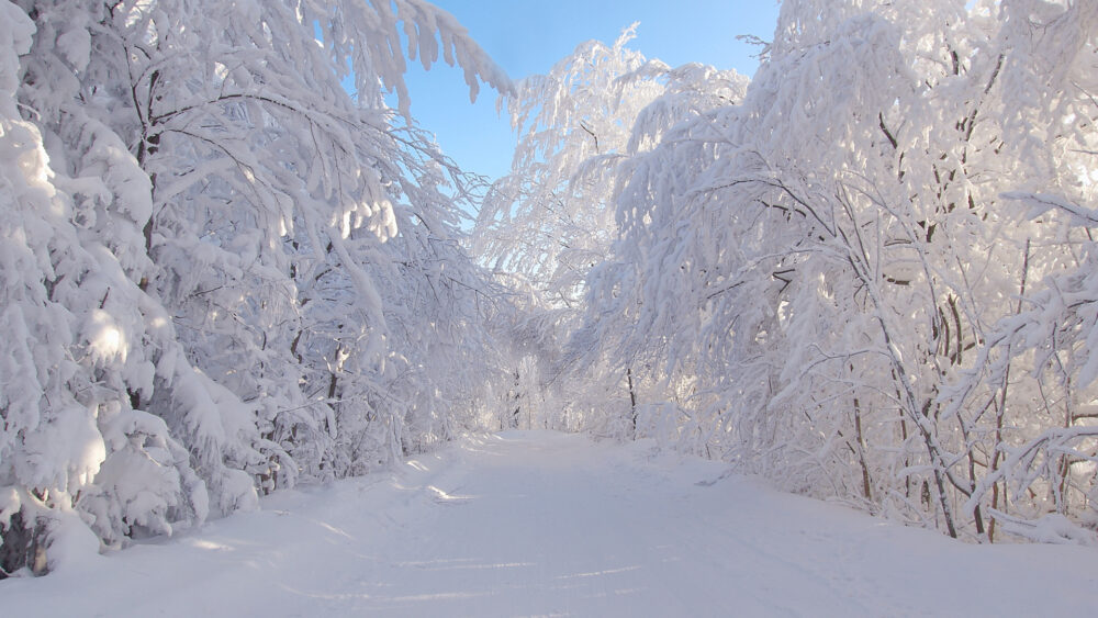 Jak nie zmarznąć podczas zimowych nocy?